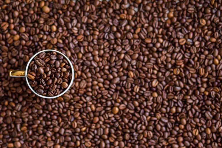 entdecken sie die faszinierende welt des kaffees - von der bohne bis zur tasse. erfahren sie alles über unterschiedliche sorten, zubereitungsmethoden und die perfekte kombination von aromen für ein unvergessliches geschmackserlebnis.