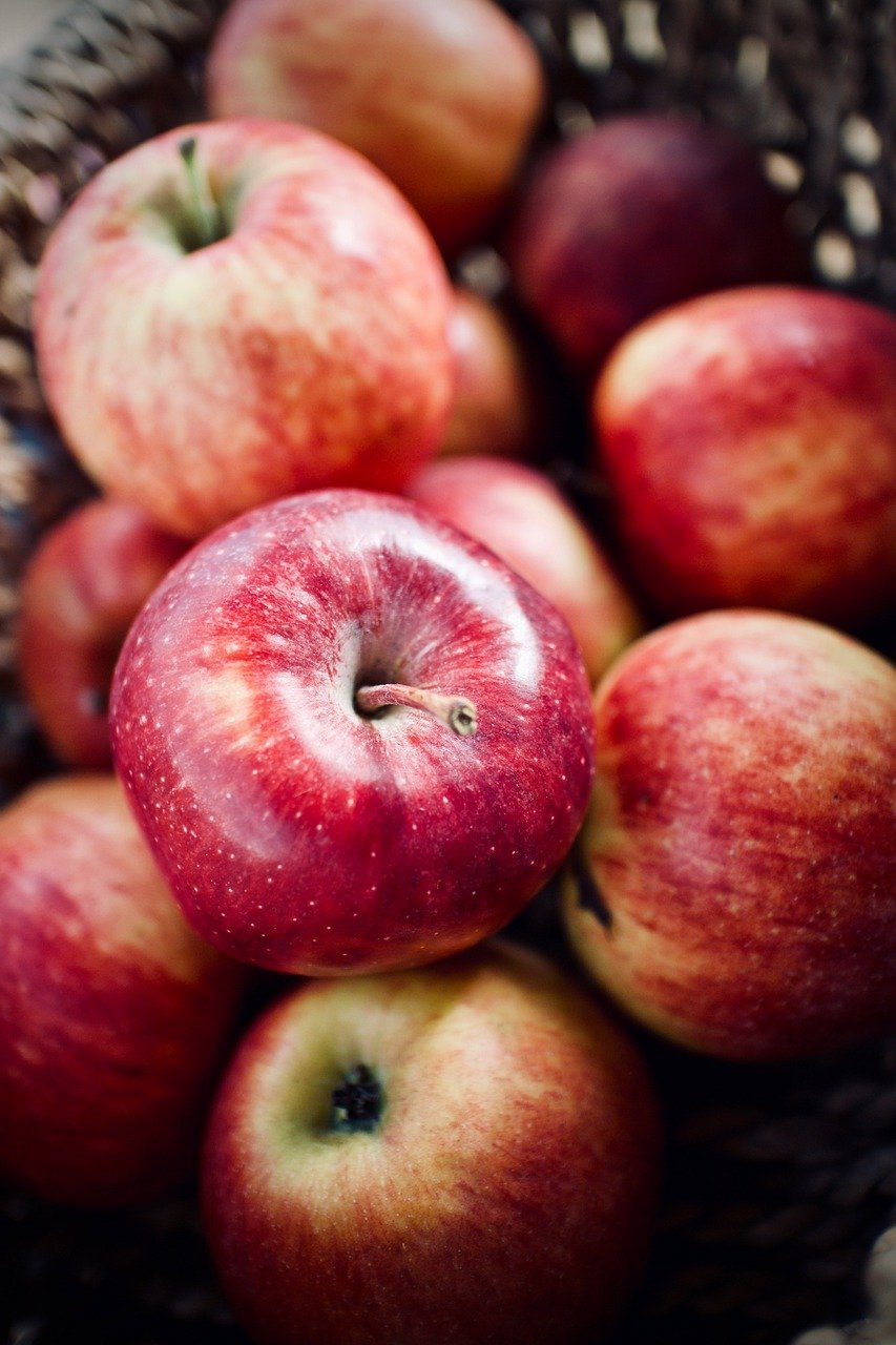 entdecken sie die wichtigsten aspekte der ernährung, einschließlich gesunder lebensmittel, ausgewogener diäten und wertvoller tipps für einen gesunden lebensstil.