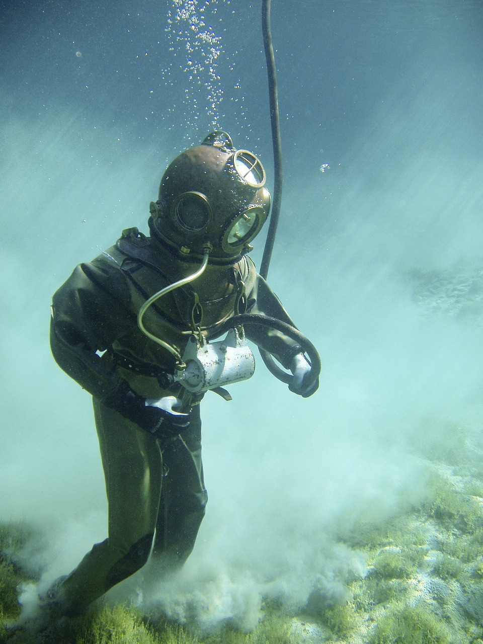 entdecken sie die faszinierende unterwasserwelt: tauchen sie in ein paradies voller farben, lebendiger meeresbewohner und unvergesslicher abenteuer. erleben sie die geheimnisse des ozeans und lassen sie sich von seiner schönheit verzaubern.