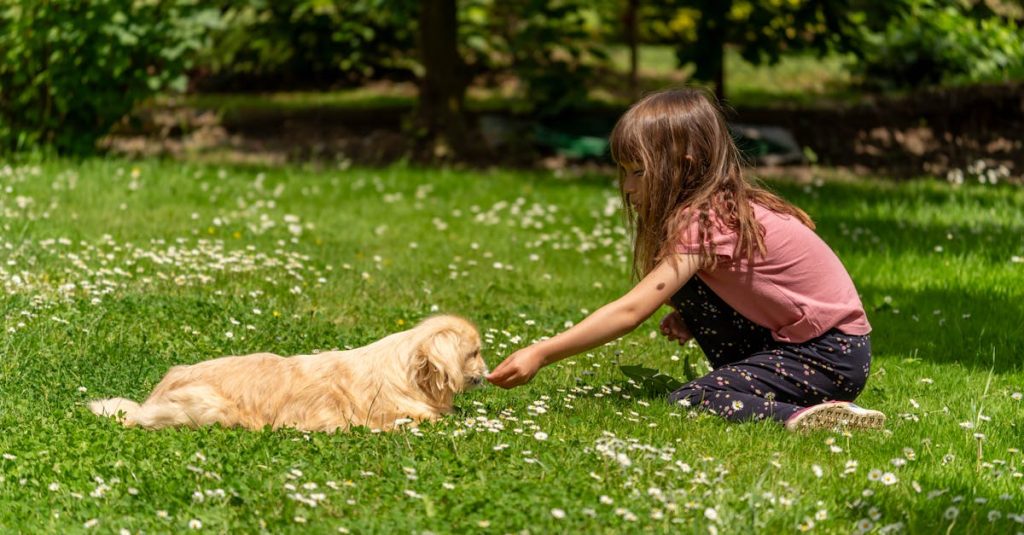 entdecken sie unsere besten tipps zur haustierpflege! erfahren sie, wie sie das wohlbefinden ihres pelzigen freundes fördern, ihn gesund halten und eine starke bindung aufbauen. ideal für tierliebhaber und verantwortungsvolle haustierbesitzer.