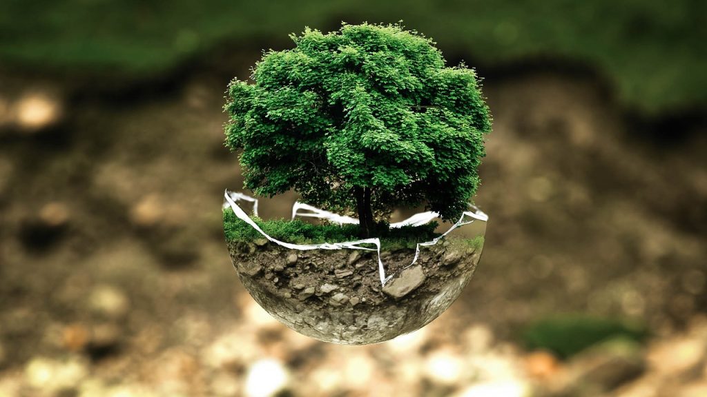 entdecken sie wichtige umweltprobleme wie klimawandel, plastikverschmutzung und biodiversitätsverlust. informieren sie sich über lösungen und maßnahmen für eine nachhaltige zukunft.