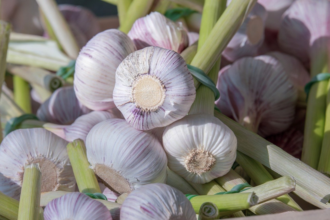 entdecken sie die faszinierende welt der kulinarischen genüsse. von traditionellen rezepten bis hin zu modernen gaumenfreuden – lassen sie sich inspirieren und genießen sie ein unvergessliches geschmackserlebnis.