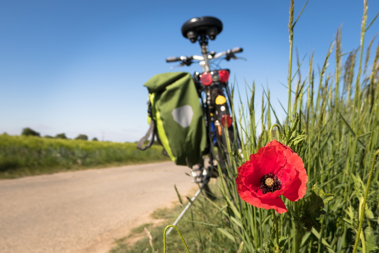 entdecken sie eine vielzahl von freizeitaktivitäten, die ihren alltag bereichern! von outdoor-abenteuern bis zu entspannenden hobbys – finden sie die perfekte freizeitbeschäftigung, um spaß zu haben und den stress des alltags abzubauen.