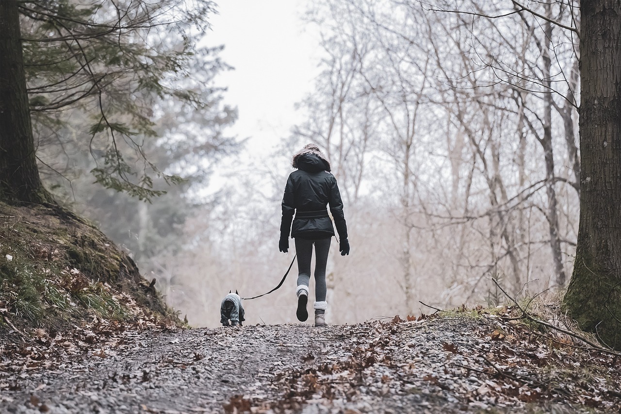 entdecken sie erschwingliche outdoor-aktivitäten, die spaß und abenteuer für die ganze familie bieten! von wanderungen und radfahren bis hin zu spannenden wassersportarten – genießen sie die natur, ohne ihr budget zu sprengen.