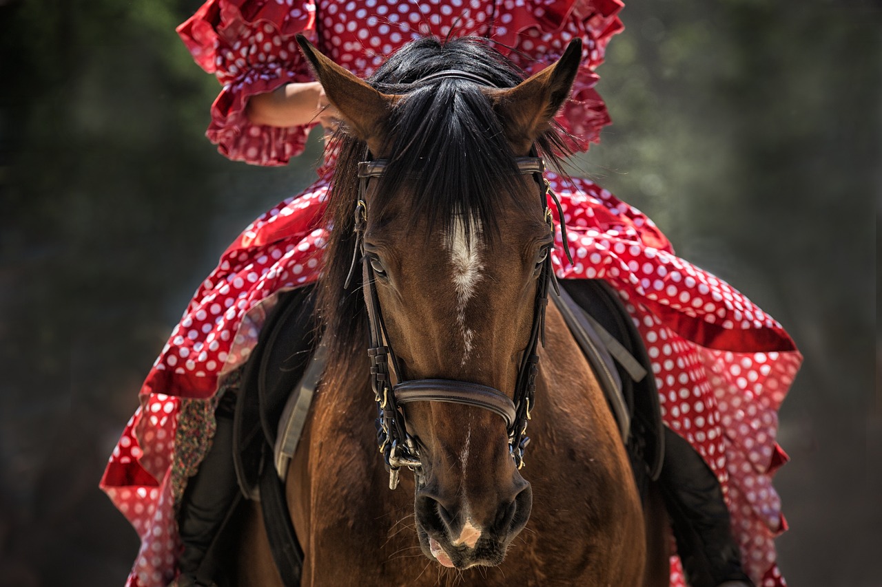 entdecken sie die freude am reiten! unsere reitangebote für anfänger und fortgeschrittene bieten unvergessliche erlebnisse in der natur. genießen sie entspannende ausritte und professionelle reitstunden mit erfahrenen trainern.