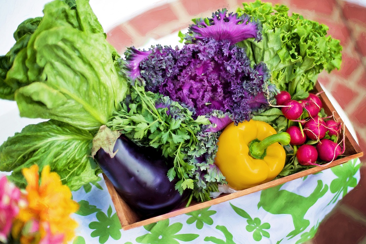 entdecken sie die neuesten erkenntnisse in der ernährung, lernen sie gesunde essgewohnheiten und finden sie nahrhafte rezepte, die ihr wohlbefinden fördern.