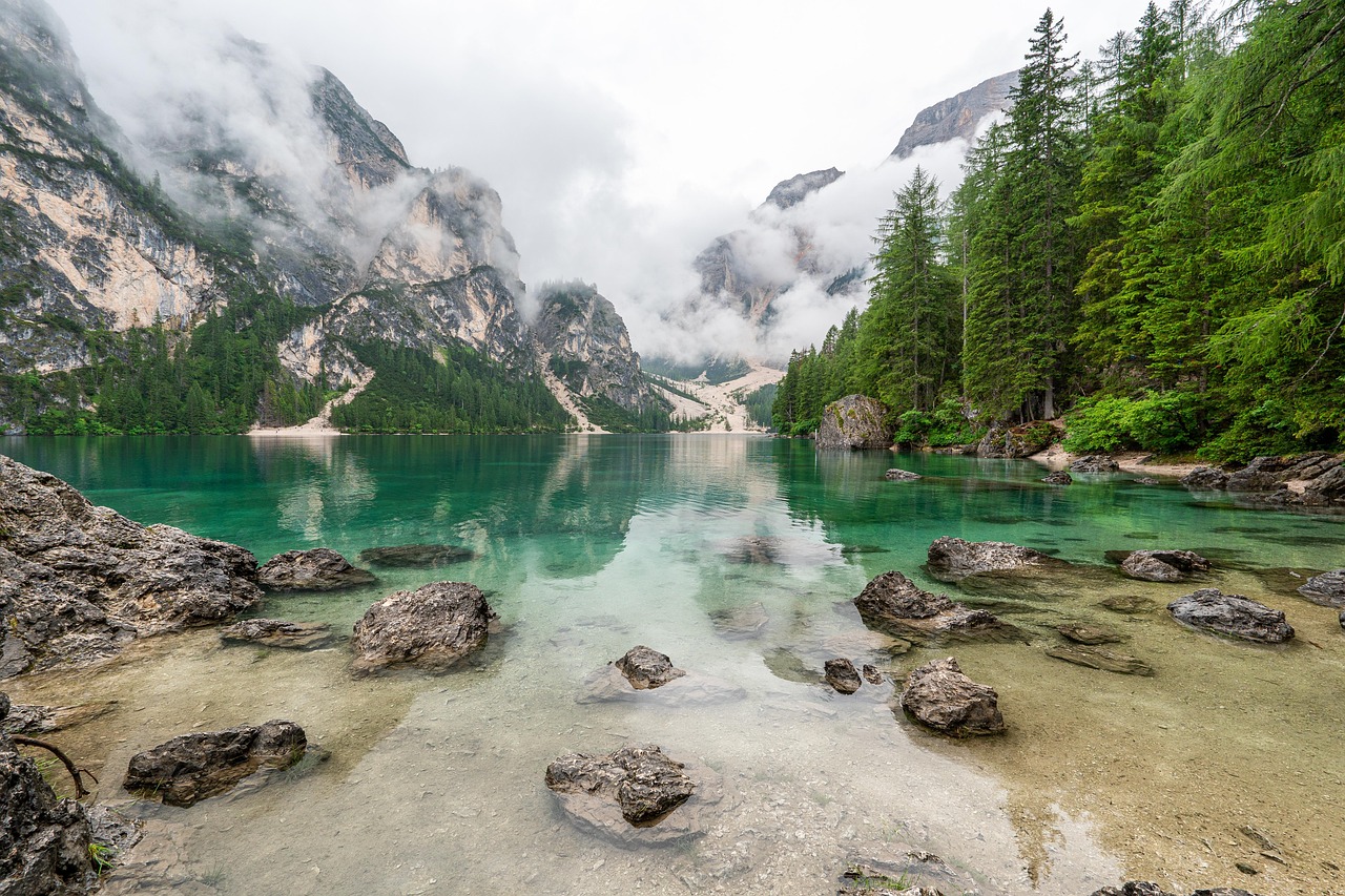 entdecken sie die faszinierende schönheit der natur: von majestätischen landschaften bis hin zu atemberaubenden tierarten. lassen sie sich von den wundern der natürlichen welt inspirieren und erfahren sie, wie wichtig der schutz unserer umwelt ist.